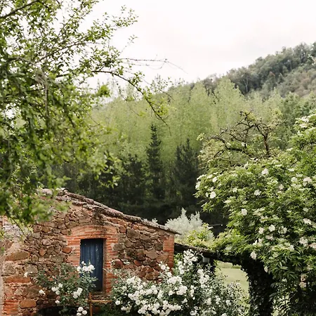 Riera De La Pineda Villa *